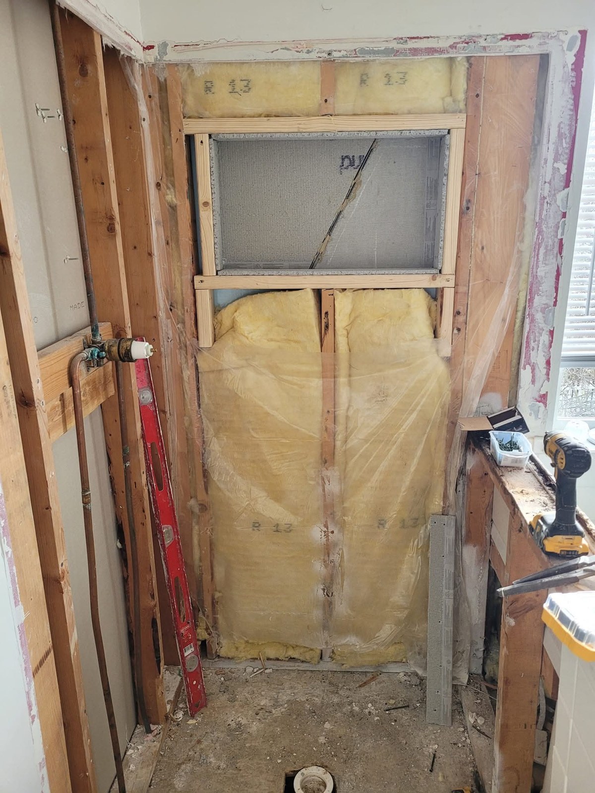 Rehab rescue — before